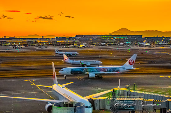 20250226-tokyo-airport0368