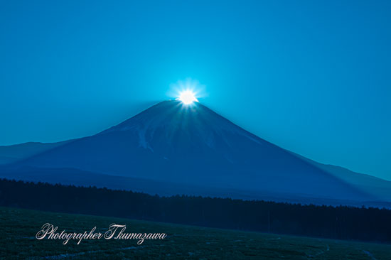 20250322-asagirikogen0582