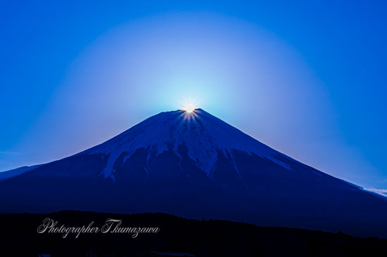 20250405-asagirikogen0896