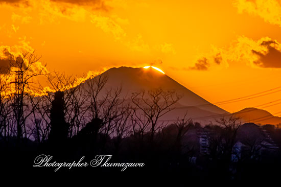 20260130-chofushi_kamiishihara3_1790