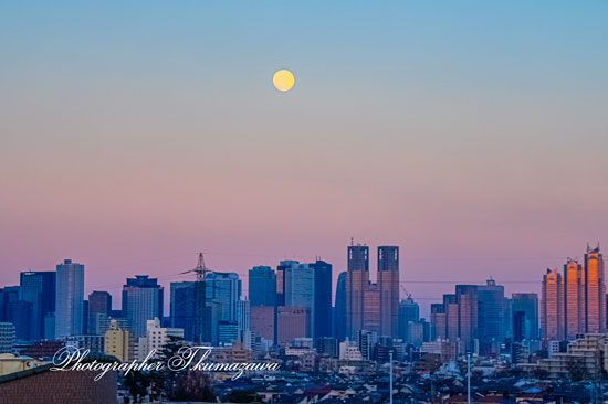 20260201-suginamiku_eifukucho1846