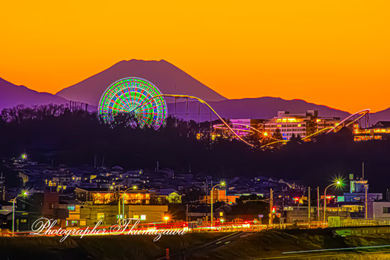 20260203-chofu_gohonmatukoen2033