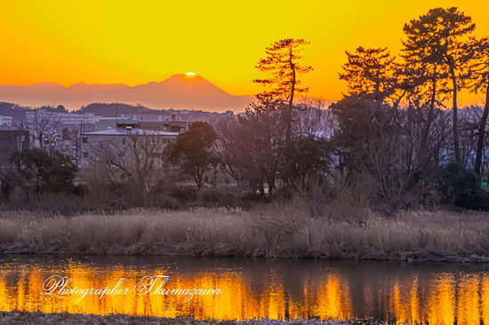 20260206-komaeshi_motoizumi3_2361