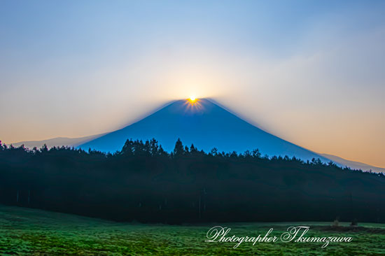 20260329-asagirikogen2743