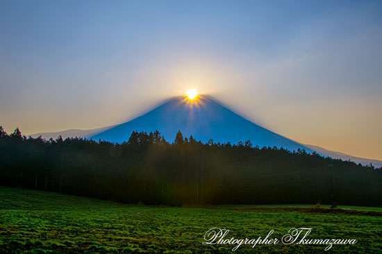 20260329-asagirikogen2755