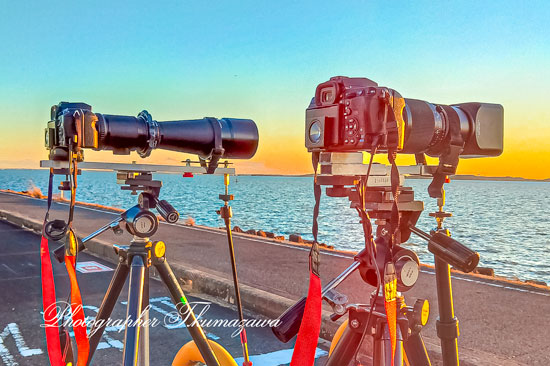 MY_CAMERA-kasumigaura-2026