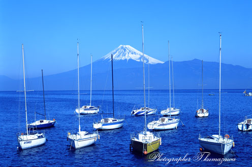 19830115-nishiura4521001