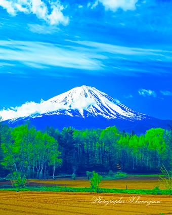 19880505-narusawa45305
