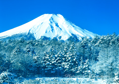 19890211-oshinomura6990