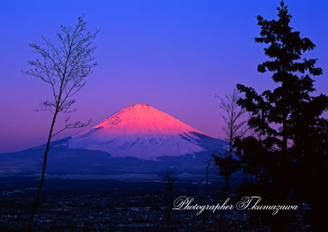 20070318-nagaotoge6913501