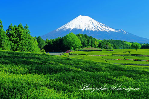 20130428-fujishi_obuchi06sa