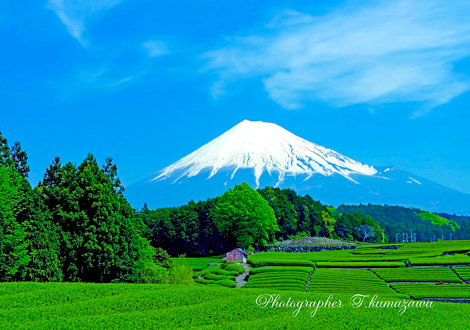 20140503-obuchi0809