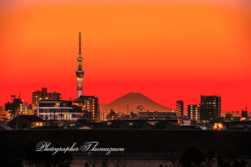 20190202-konodai9529