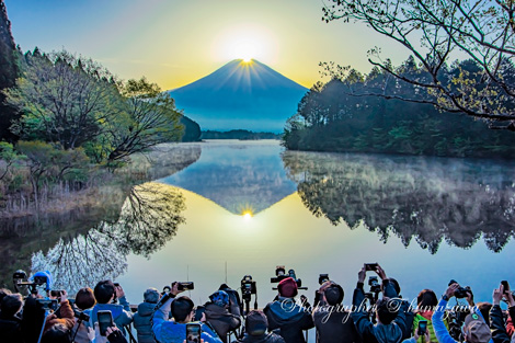 20210424-fujinomiya_tanukiko1528