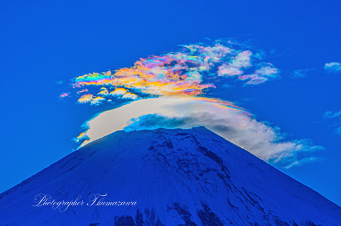 20260314-asagirikogen2564