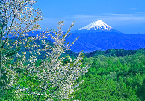 19920504-makioka4518001