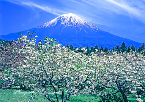 19970427-shiraito453000