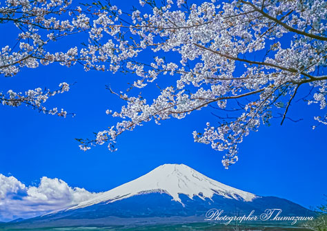 20000429-mtfuji451350