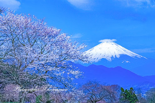 20150329-shinokubo0502