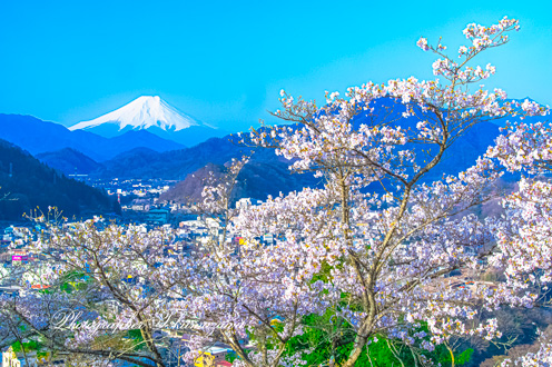20180401-otsuki_iwadonosan026