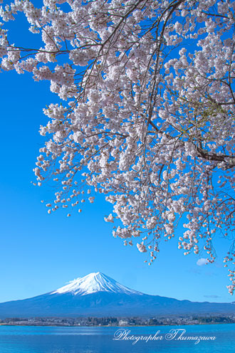 20180408-kawaguchiko037t