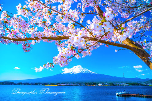20180408-kawaguchiko055