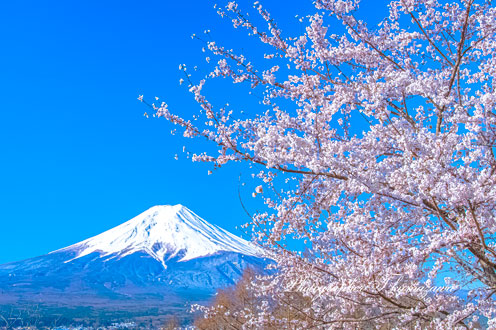 20190413-arakura0375