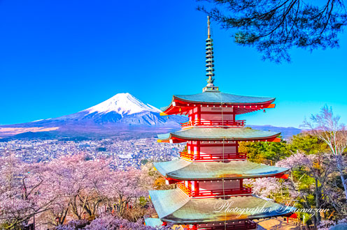 20190413-arakura50_0278