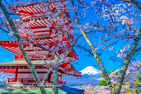 20190413-arakura50_0325
