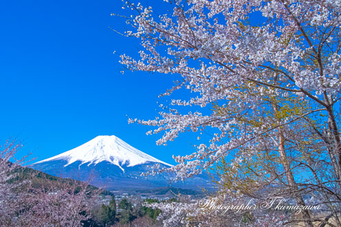 20190413-asumi0440