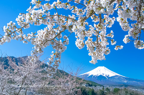 20190413-asumi0456