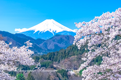 20190413-otsukishi_magi0538