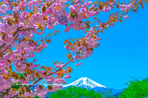 20190428-otsuki_magi0677