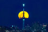 tokyoskytree01